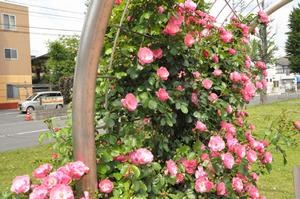 与野本町駅前公園4