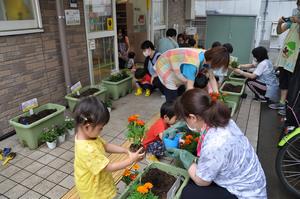 与野本町花2