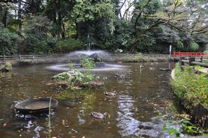 与野公園紅葉6