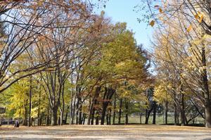 与野公園