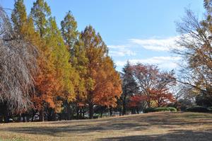 八王子公園