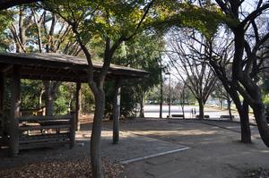 与野中央公園