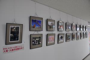 バラ写真展示2階1