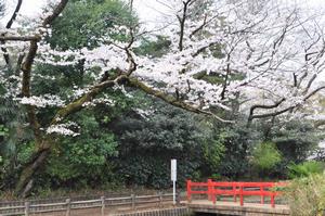 与野公園2