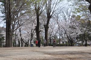 与野公園6