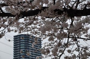 上落合公園2
