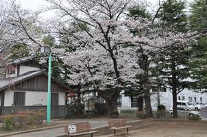 上落合公園3