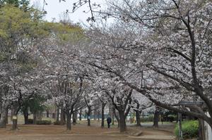 八王子公園3
