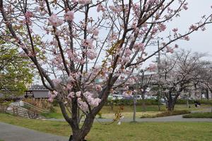 鈴谷西公園1