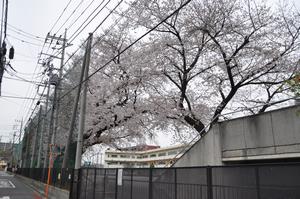 上落合小
