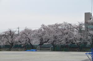 西中