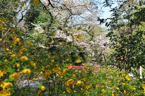 与野公園2