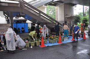 北与野花植え1