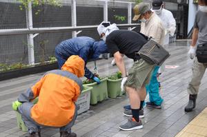 北与野花植え3