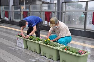 北与野花植え4