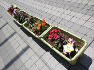 北与野デッキ3