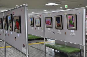 写真展2