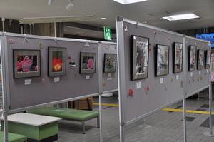 写真展3