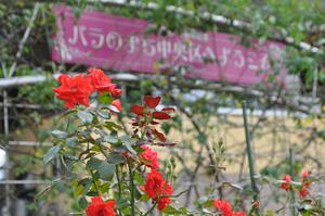 駅前公園5