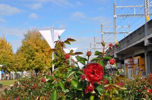 駅前公園1