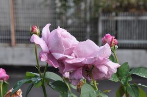 東口4