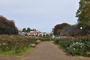 与野公園1