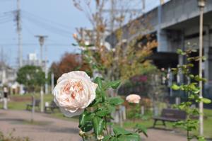 駅前公園2
