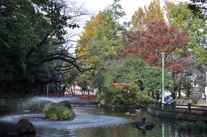 与野公園秋4