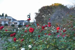 与野公園3