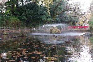 与野公園紅葉2
