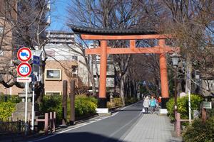氷川参道