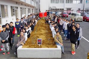 レッズローズ植栽6