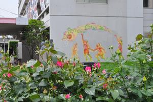 区役所周辺バラ3