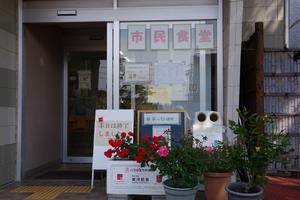 庁舎周辺バラ3