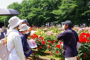 ガイドツアー清水3
