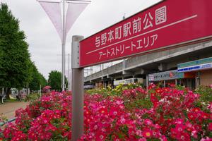 西口バラ3