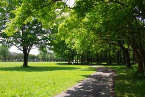 秋ヶ瀬公園