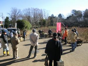 与野公園剪定1