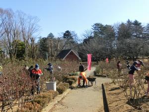 与野公園剪定5
