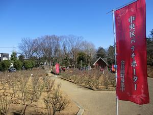 与野公園剪定8
