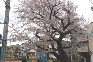 大和町児童遊園地