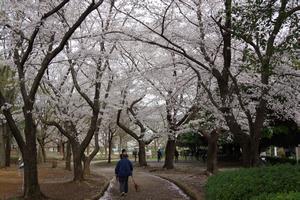 八王子公園