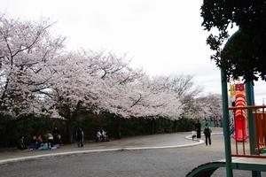 与野中央公園