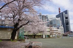 下落合小学校