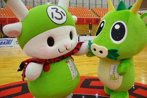 ブロンコス20