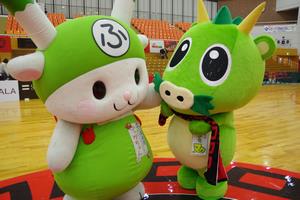 ブロンコス18