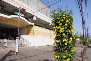 駅東口3