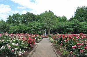 与野公園6