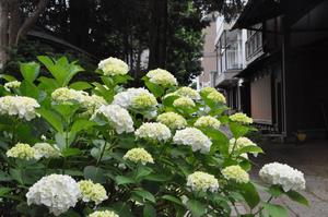 一山神社3