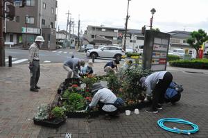 花deびゅうサイト3